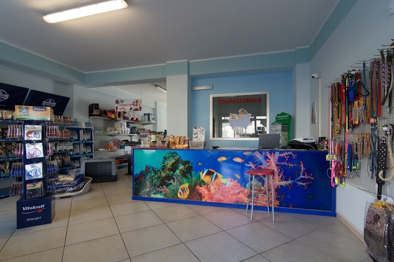 Toelettatura Animal House Rossano - Foto 5