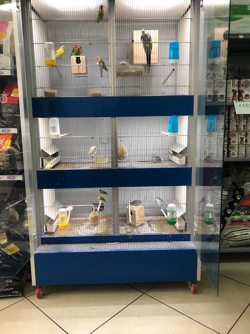 Toelettatura Animal House Rossano - Foto 6