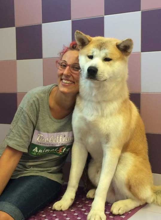 Toelettatura Animali Domestici Toelettiamo - Tosature Cane Cosenza - Foto 6
