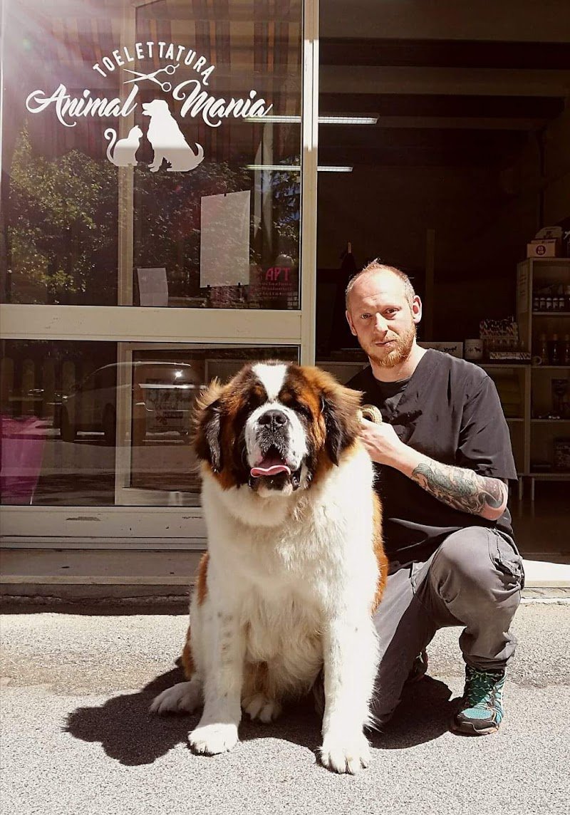 Toelettatura Animalmania Castel Del Piano - Foto 6