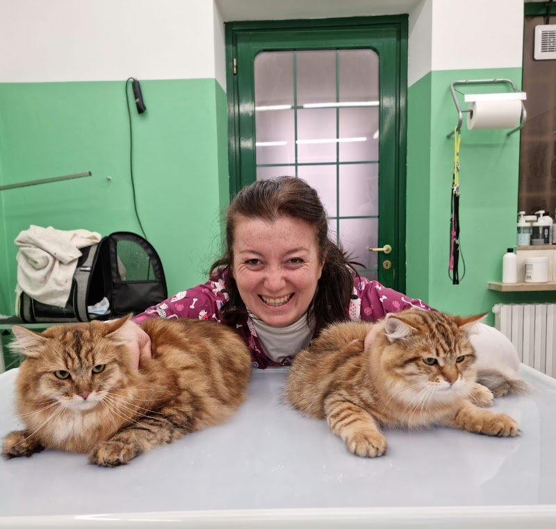 Toelettatura ARENA Pet Grooming - Foto 1