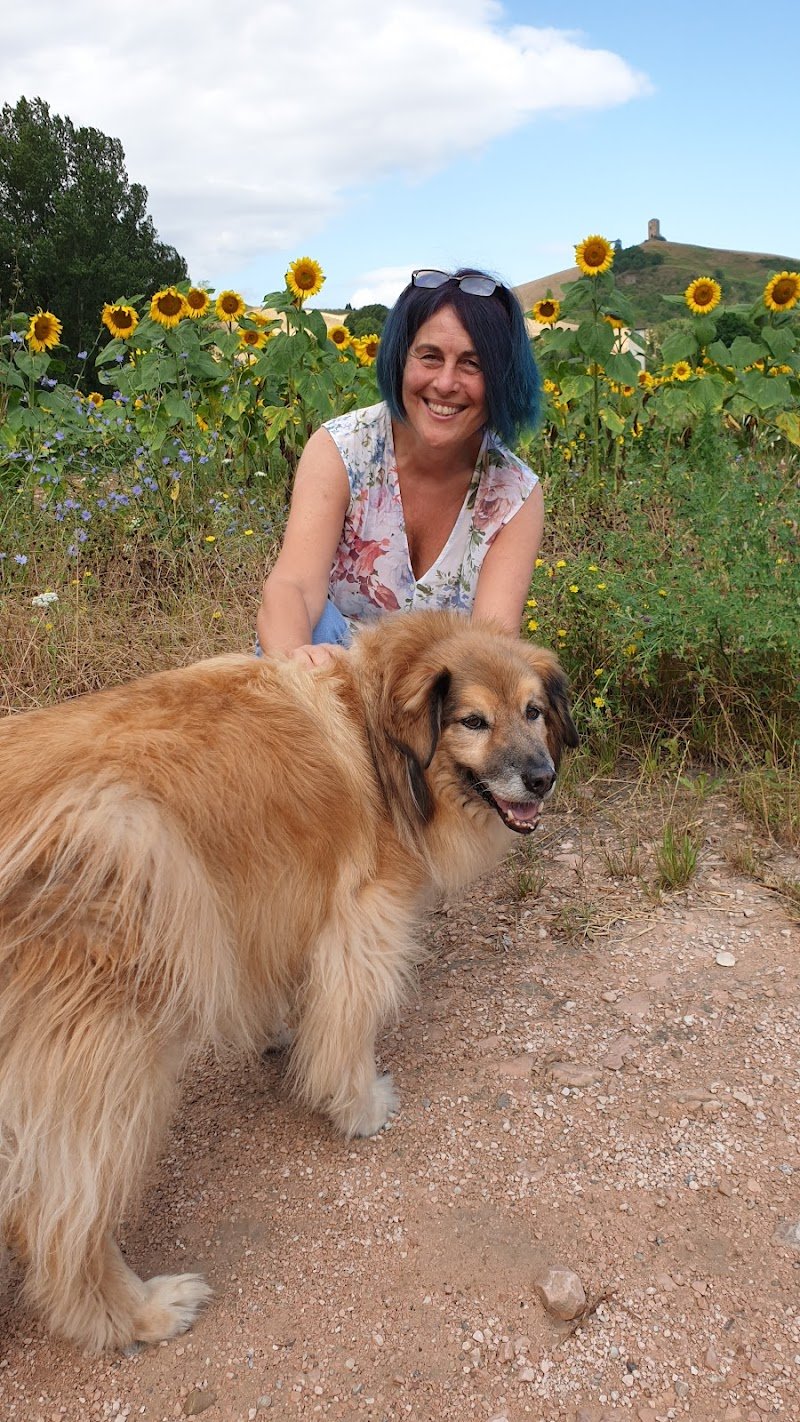 Toelettatura-Asilo cani ass. Tribù dell'Albero - Foto 6
