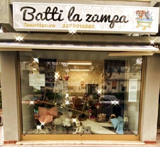 Toelettatura Batti La Zampa - cani e gatti - Foto 4