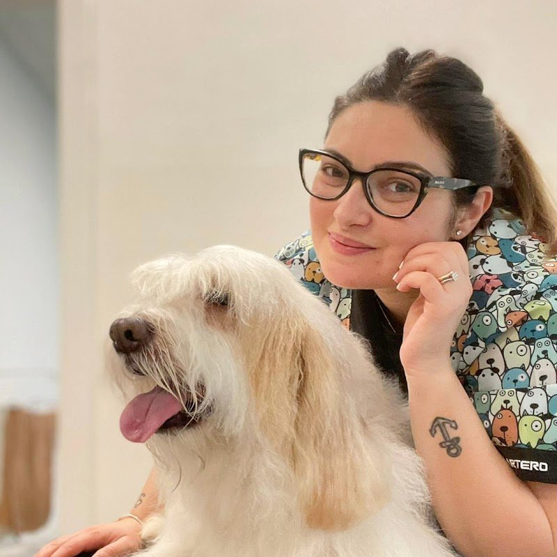 Toelettatura Bau Bau Micio Micio Brescia - Foto 3