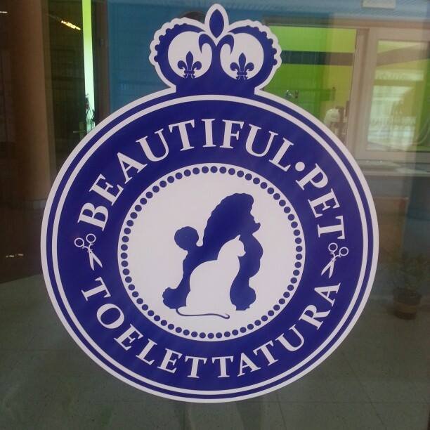 Toelettatura Beautiful Pet - Foto 6