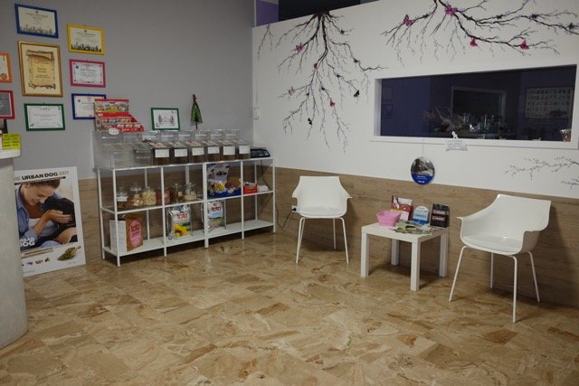 Toelettatura Beauty Pet By Annalisa Vianello - Foto 2