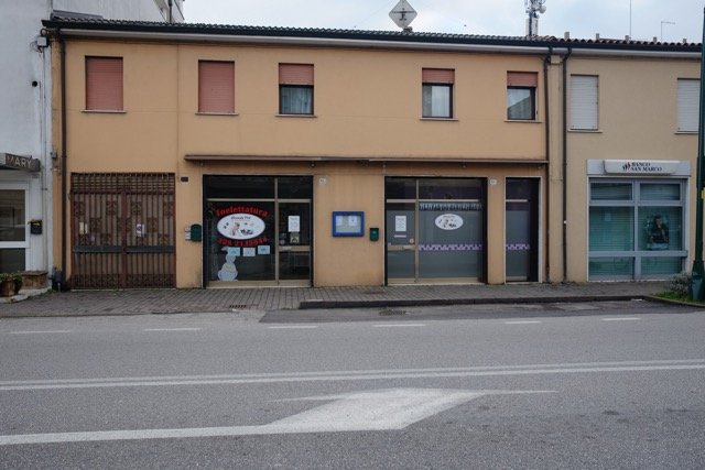 Toelettatura Beauty Pet By Annalisa Vianello - Foto 4