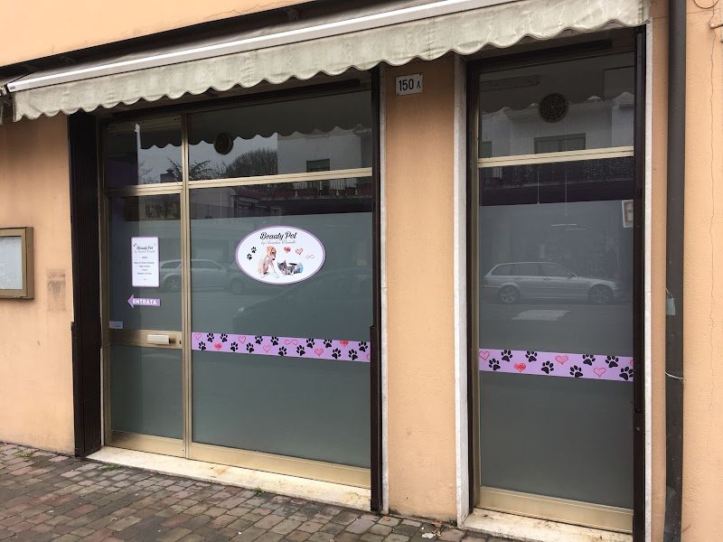 Toelettatura Beauty Pet By Annalisa Vianello - Foto 5