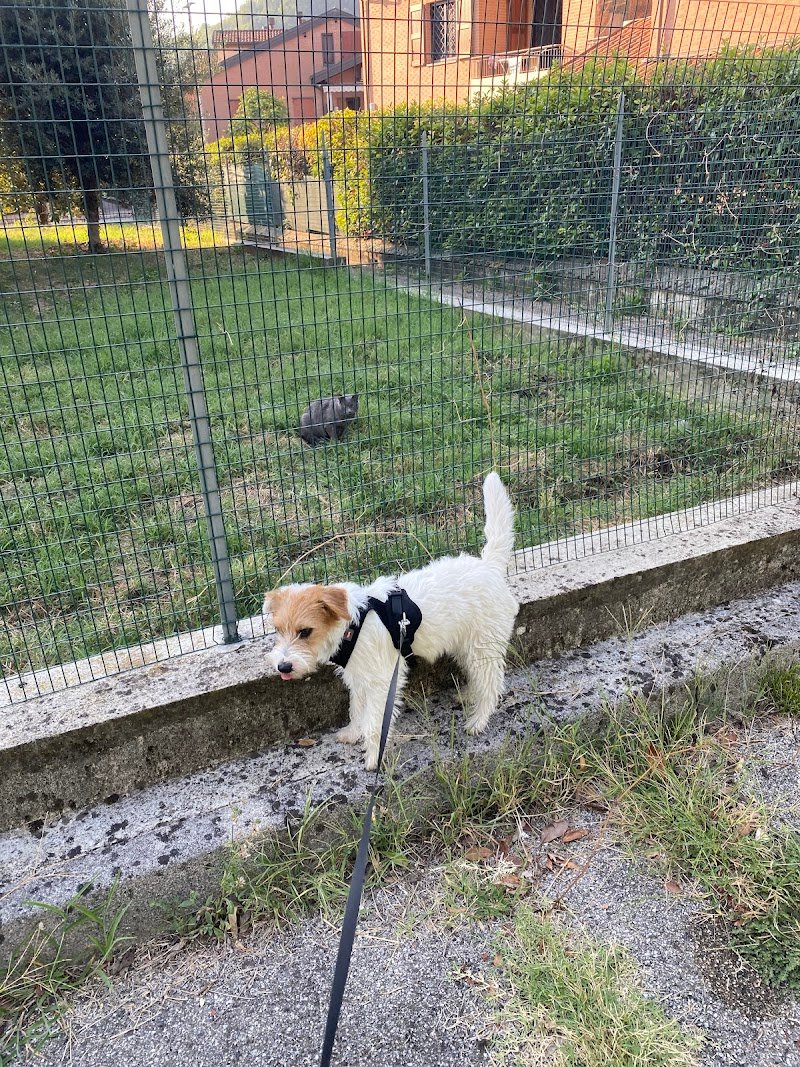 Toelettatura Beauty Room - Foto 4