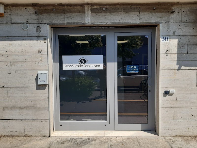 Toelettatura Beethoven - Foto 2