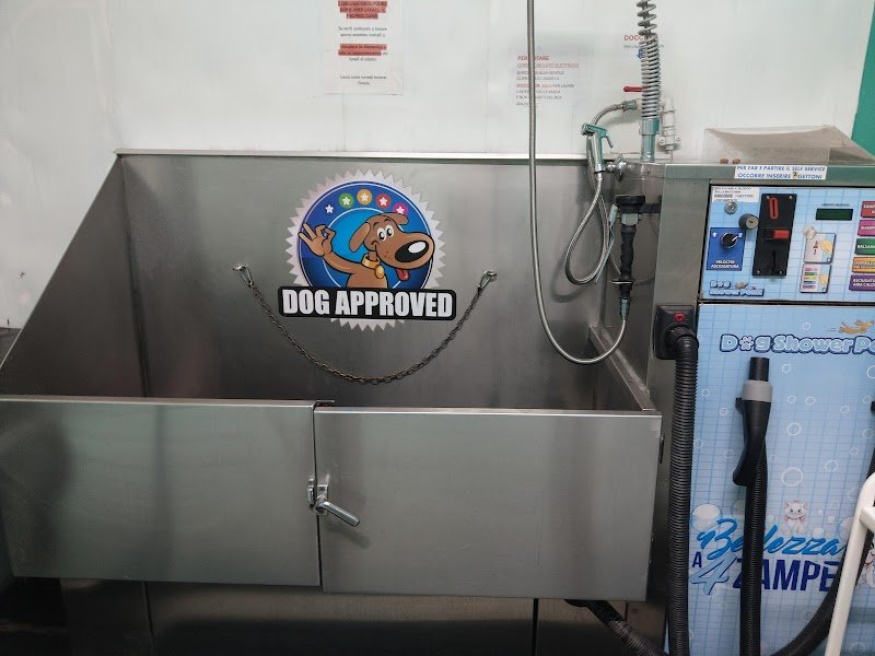 Toelettatura Bellezza a 4 zampe & Lavaggio Cani Self-service - Foto 4
