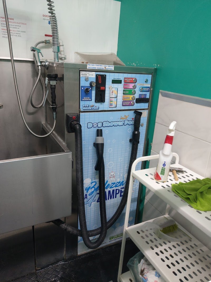 Toelettatura Bellezza a 4 zampe & Lavaggio Cani Self-service - Foto 6