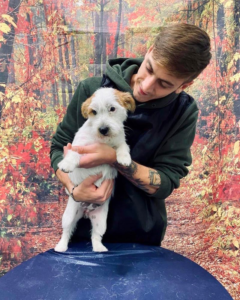 Toelettatura Bonazzi - Foto 1