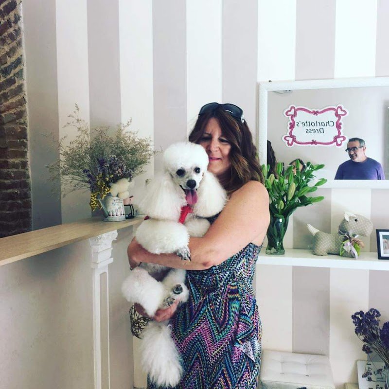 Toelettatura Cani con i Fiocchi - Foto 6