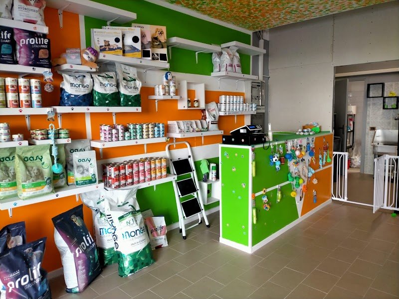 Toelettatura Cani Cormano | 2M PETS - Foto 3