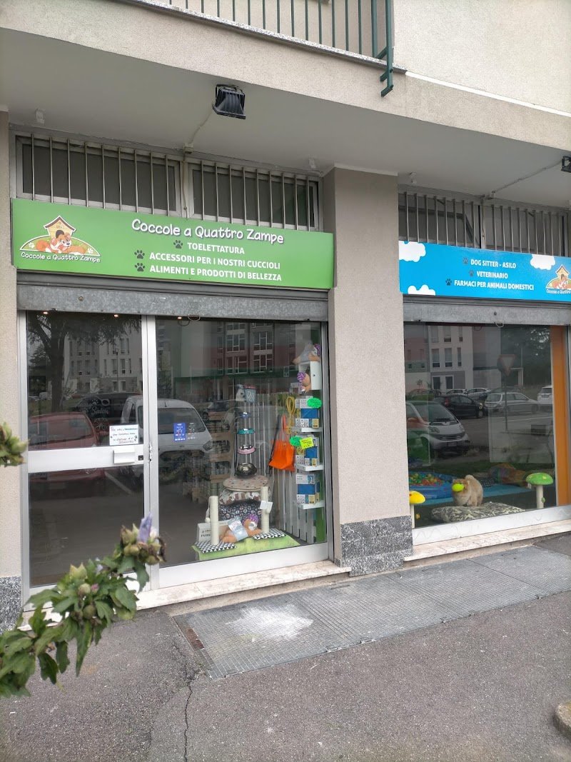 Toelettatura Cani Cormano | 2M PETS - Foto 4