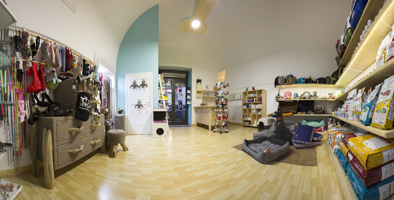 Toelettatura Cani Gatti Barber Dog Santeramo - Foto 4