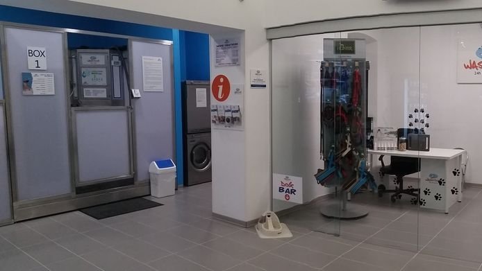 Toelettatura Cani Wash Dog Alessandria - Foto 1