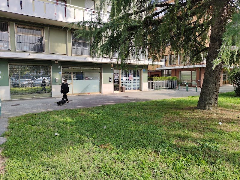 Toelettatura Cat & Dog - Tosatura Cani E Gatti - Foto 1