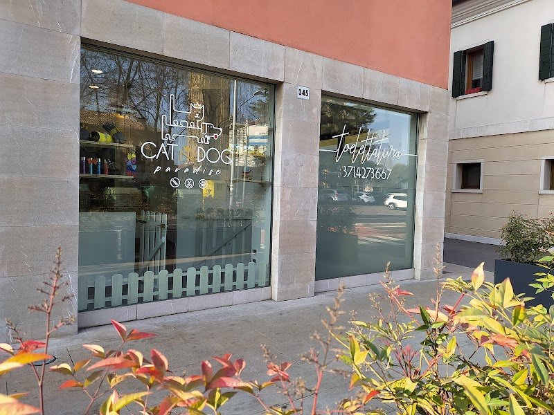 Toelettatura CAT N DOG Paradise - Foto 3