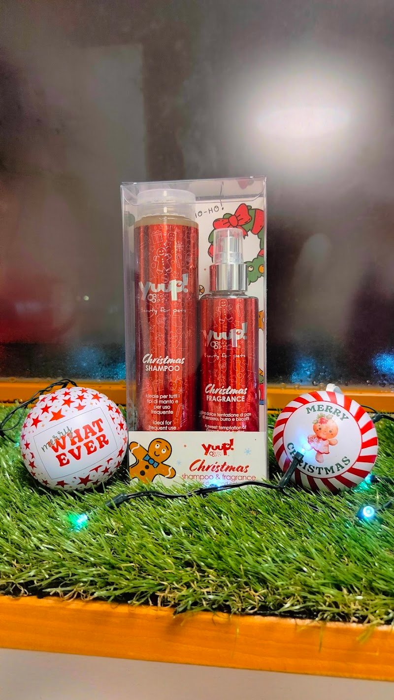 Toelettatura Cater ciate - Foto 5