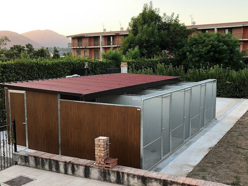 Toelettatura Centro Storico - Foto 4