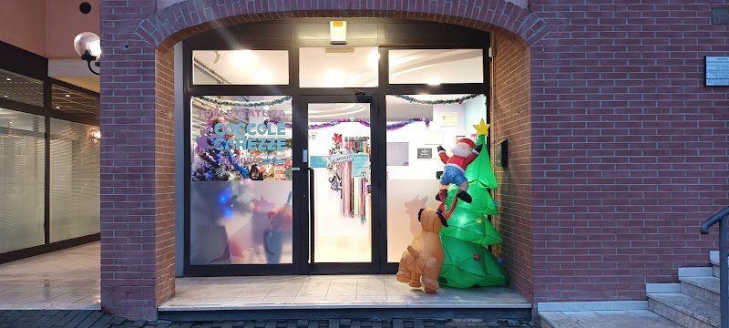 Toelettatura Coccole & Carezze di Monia - Foto 1