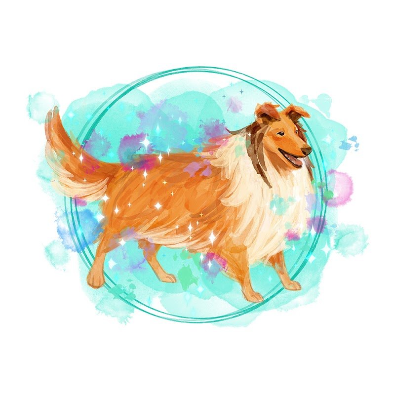 Toelettatura Code Fatate - Foto 1