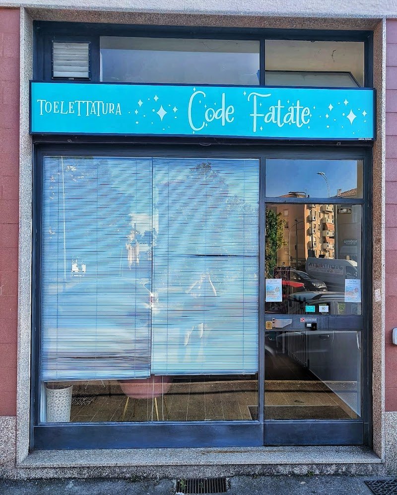 Toelettatura Code Fatate - Foto 3