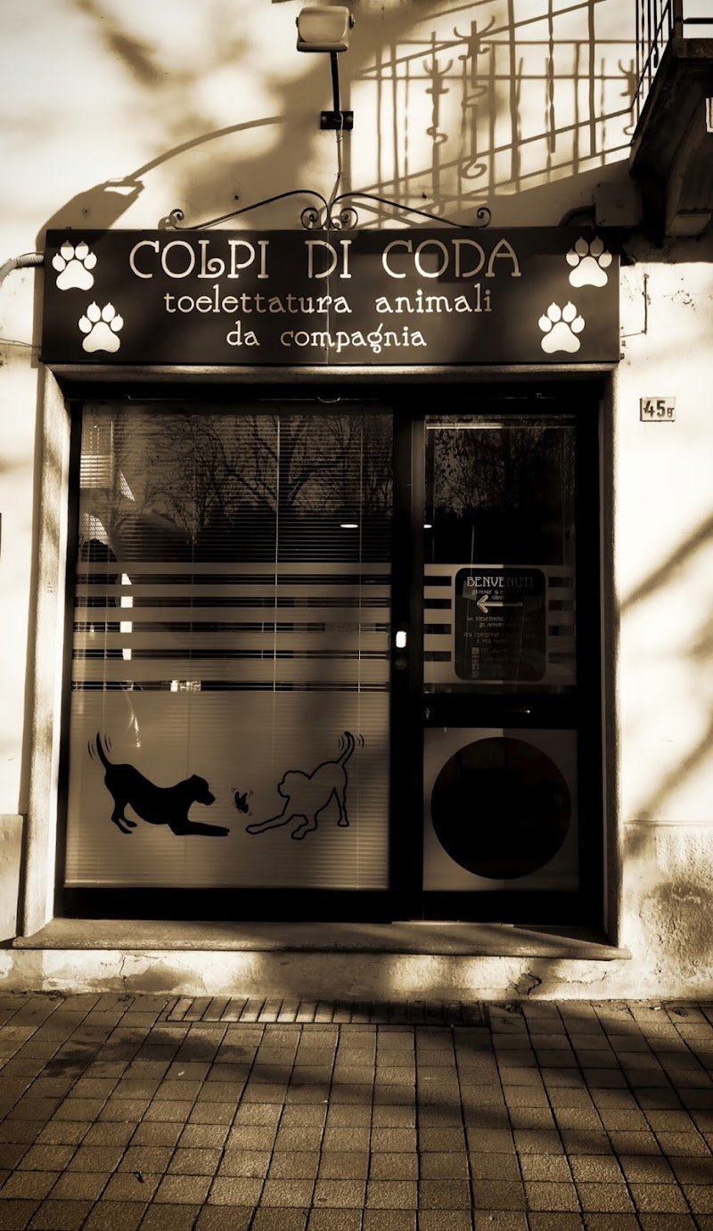 Toelettatura COLPI DI CODA - Foto 5