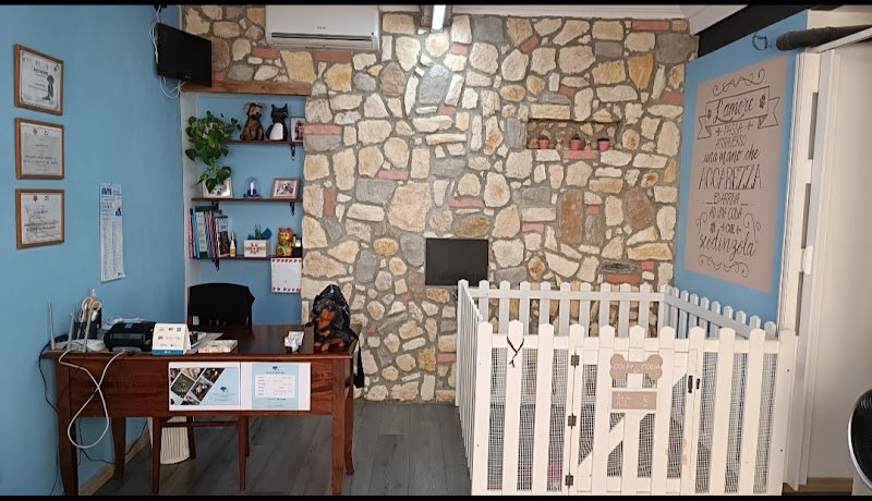 Toelettatura Colpi Di Coda - Foto 1