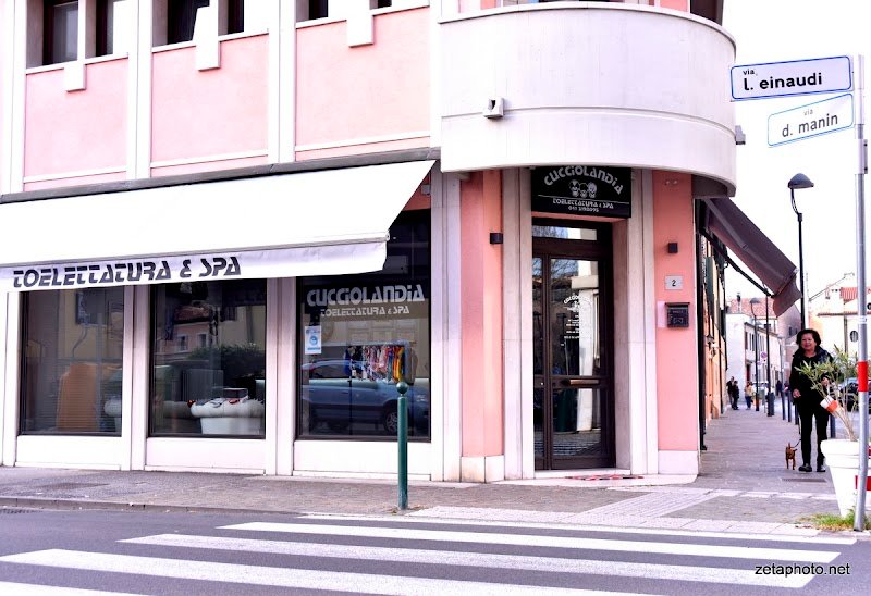 Toelettatura Cucciolandia SPA - Foto 1