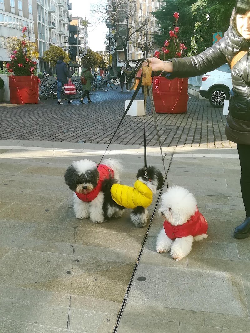Toelettatura Cucciolandia SPA - Foto 3
