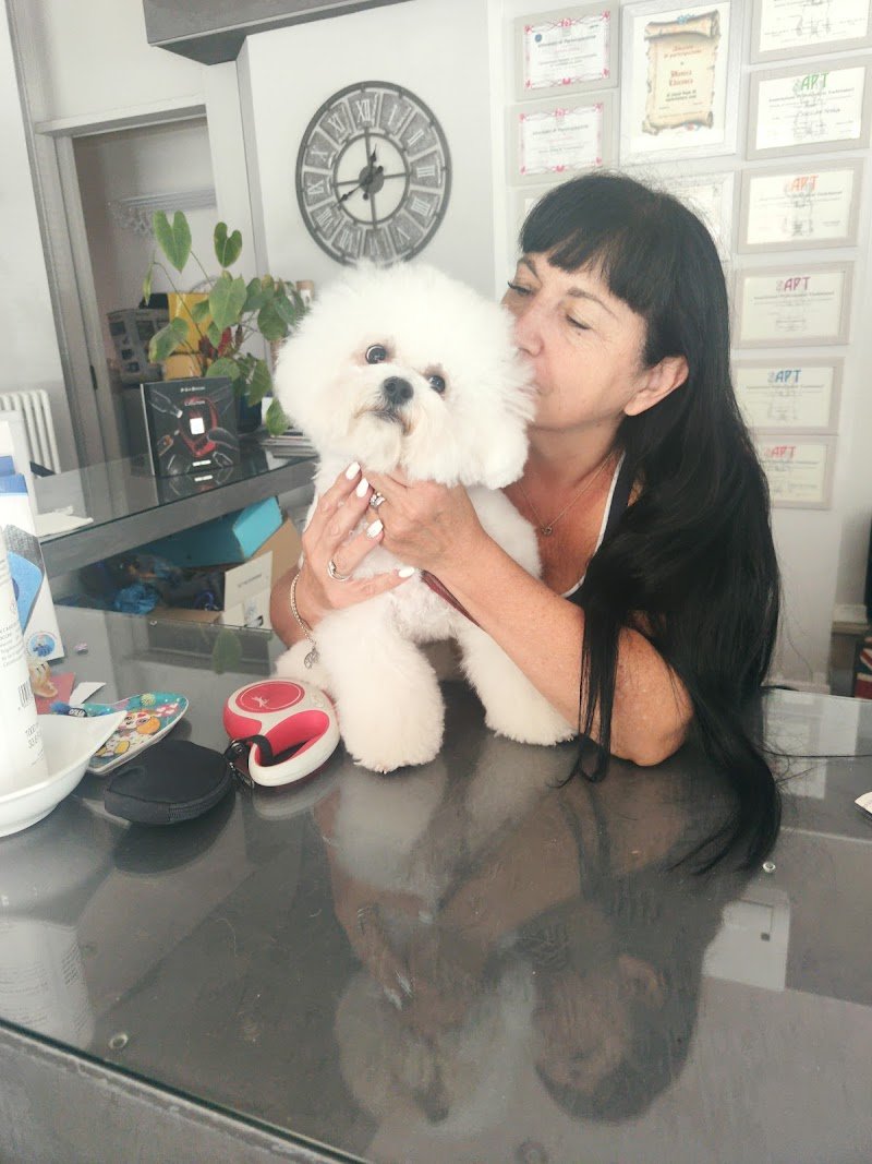 Toelettatura Cucciolandia SPA - Foto 6