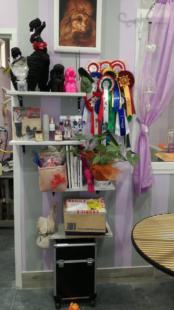 Toelettatura Cuor Di Pelo - Foto 1