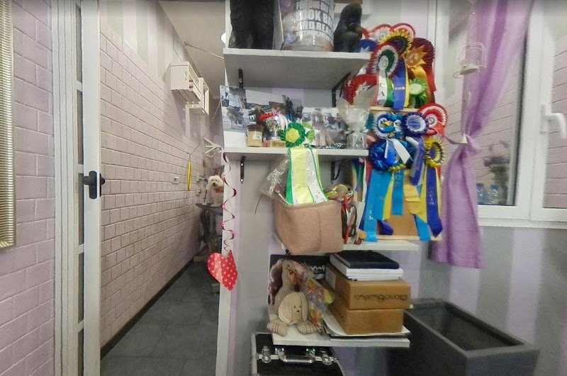 Toelettatura Cuor Di Pelo - Foto 4