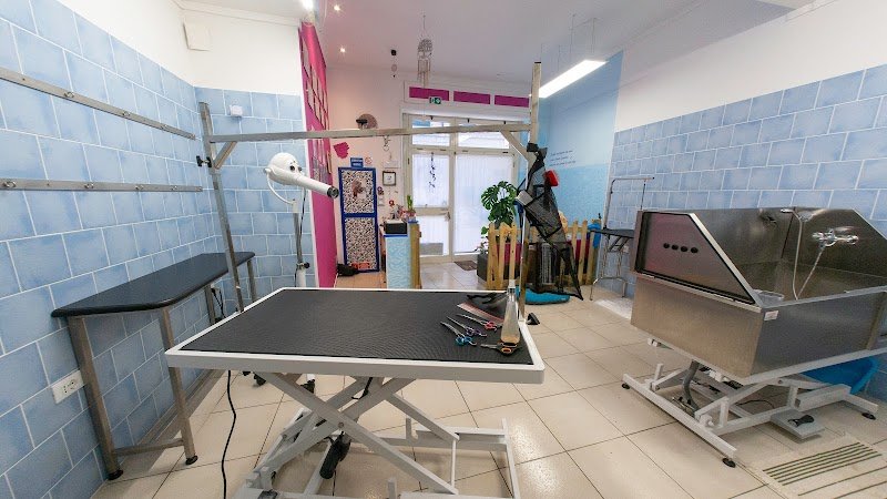 Toelettatura CuraPet - Foto 3