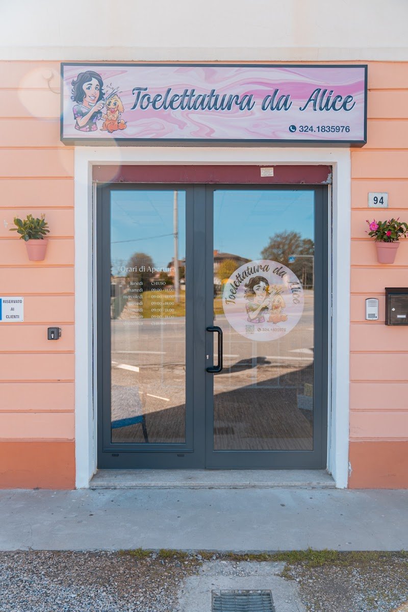 Toelettatura da Alice - Foto 1