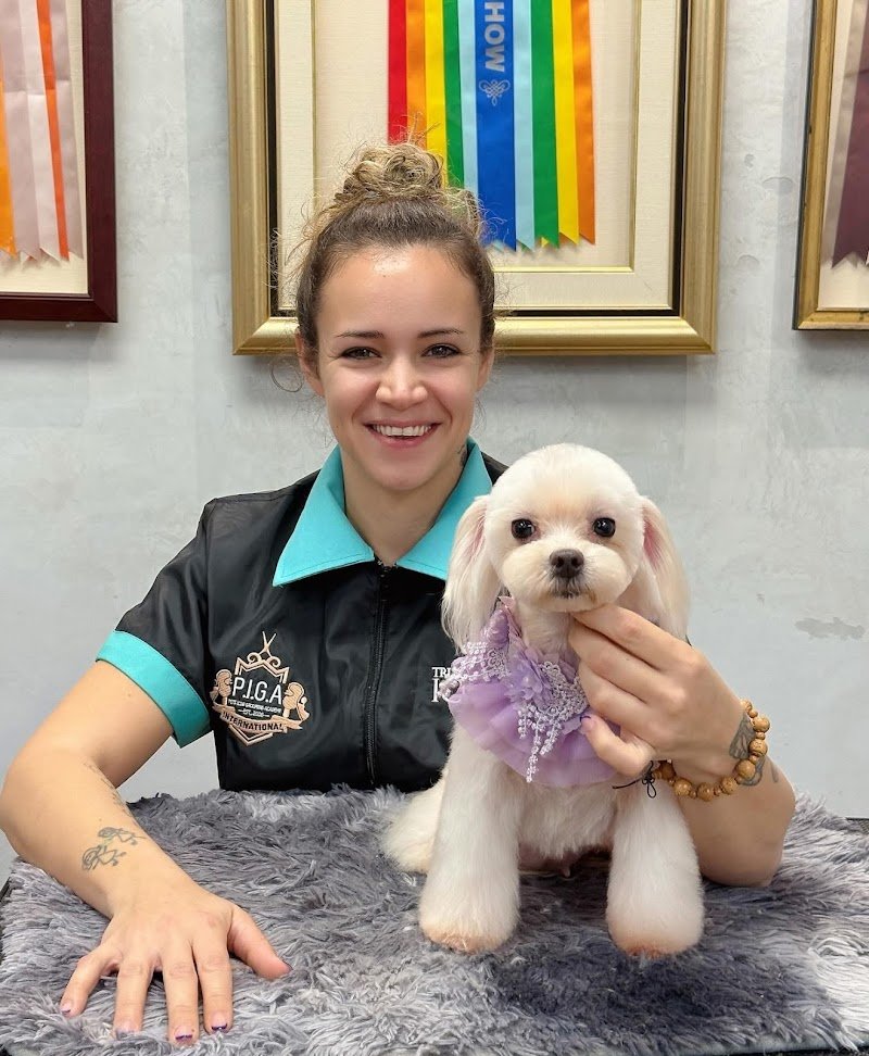 Toelettatura da Alice - Foto 2