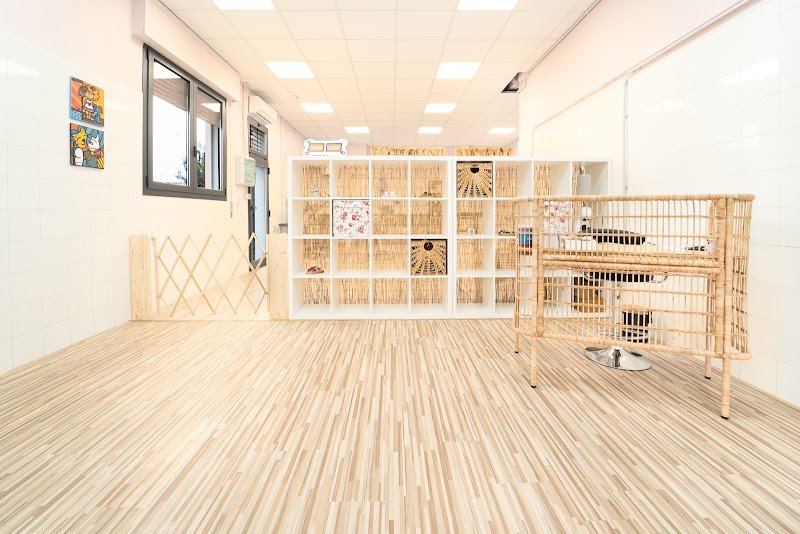 Toelettatura da Alice - Foto 3