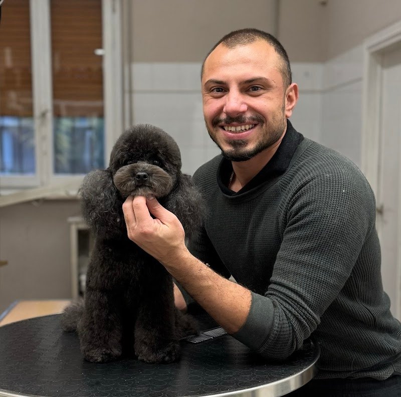 Toelettatura Da Arold - Foto 1