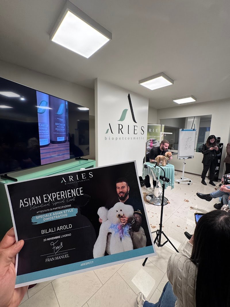 Toelettatura Da Arold - Foto 2