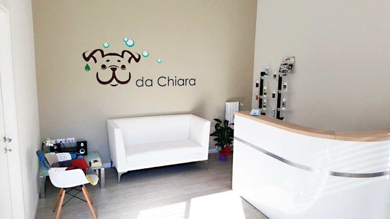 Toelettatura da Chiara - Foto 2