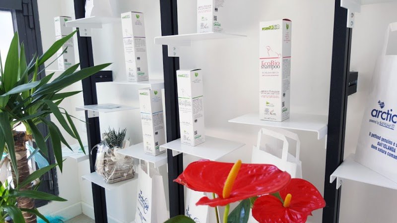 Toelettatura da Chiara - Foto 5