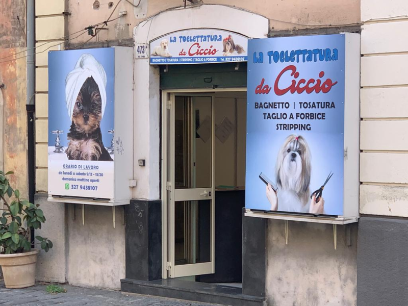 Toelettatura da Ciccio - Foto 1