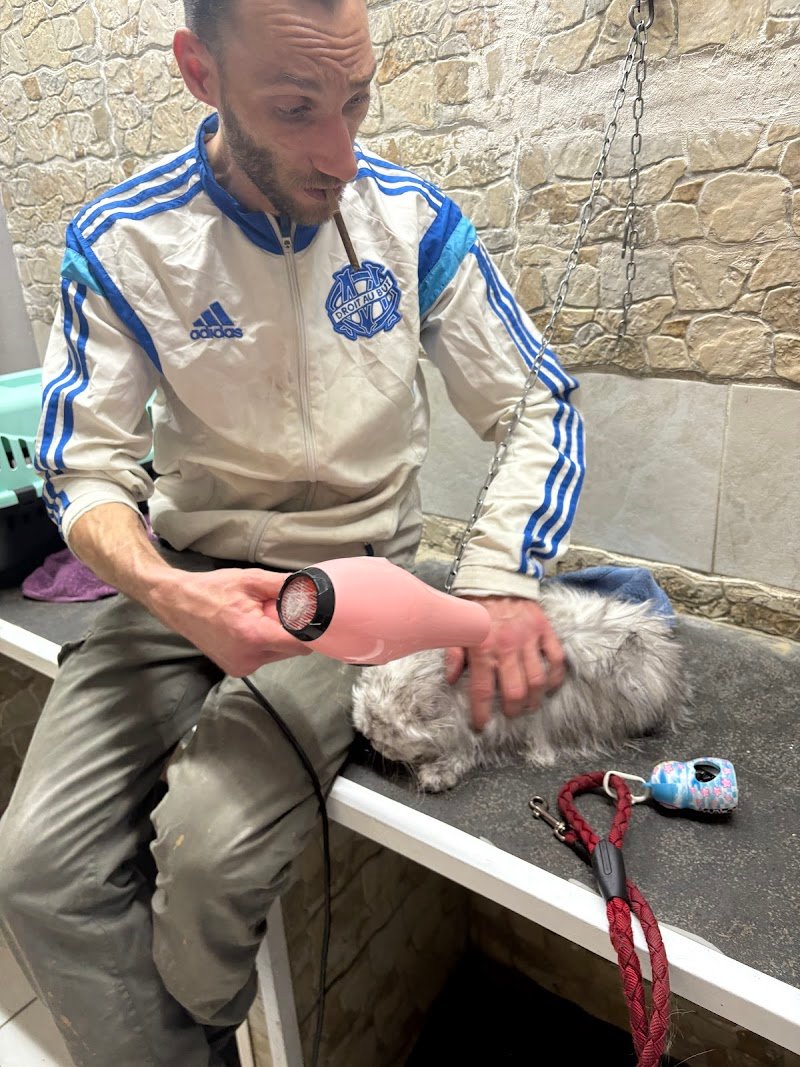 Toelettatura da Ciccio - Foto 4