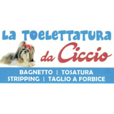 Toelettatura da Ciccio - Foto 5