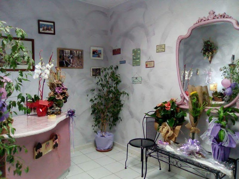 Toelettatura Da Elena Livorno - Foto 1