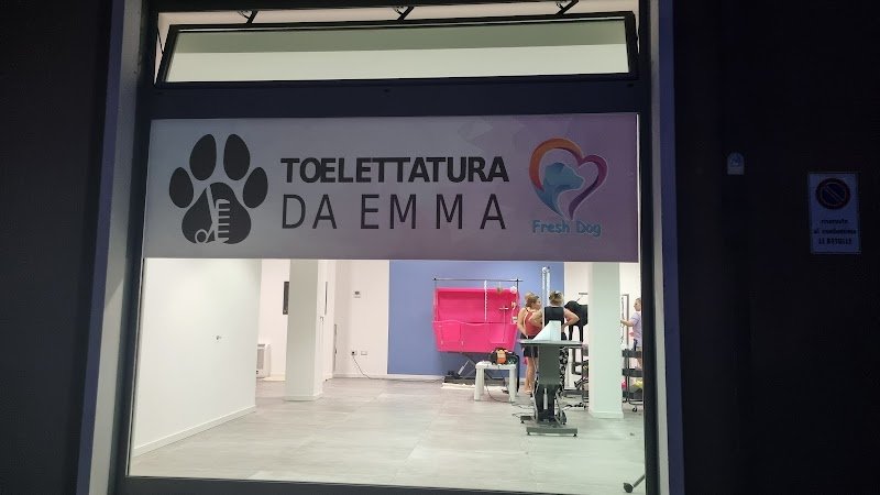 Toelettatura da Emma - Foto 6