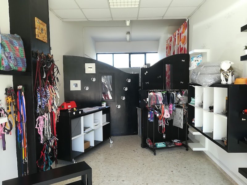 Toelettatura da Masha e Nina - Foto 1